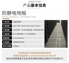 全鋼防靜電地板